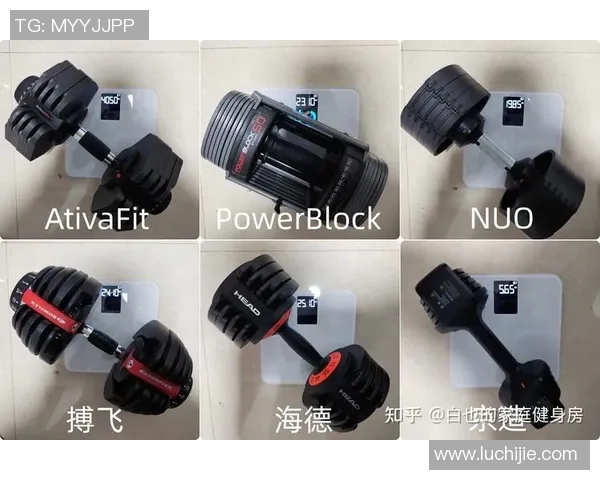 哑铃价格揭秘一副多少钱适合不同需求的消费者选择指南